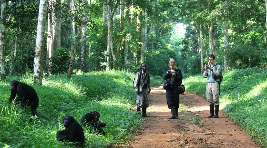 Kibale Forest National Park, Uganda
